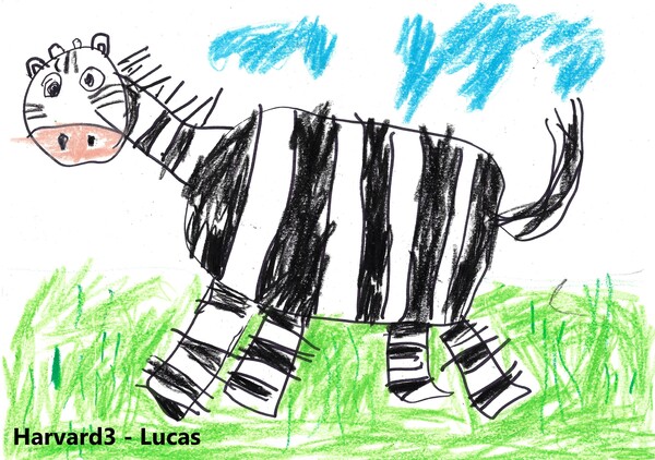 Zebra in the Green Field